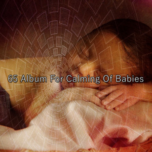 65 Album For Calming Of Babies