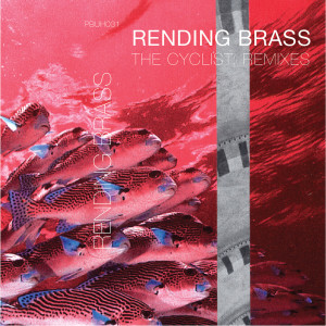 ดาวน์โหลดและฟังเพลง Petroleum Rainbow (Ghibli's Foreign Meditation Rework) พร้อมเนื้อเพลงจาก The Cyclist