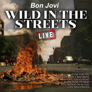 收听Bon Jovi的Tokyo Road (Live)歌词歌曲