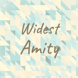 Various Artists的專輯Widest Amity