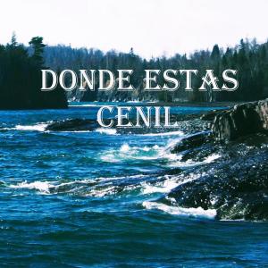 Cenil的專輯Donde Estas