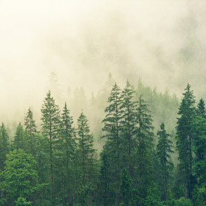 Listen to Sleeping Music song with lyrics from Sleepy Times