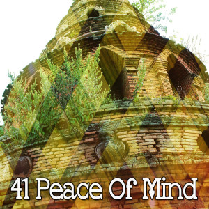 41 Peace Of Mind