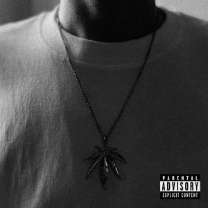 Listen to LLC (Explicit) song with lyrics from annxiiety