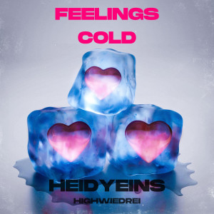 收听Heidyeins的Feelings Cold (Explicit)歌词歌曲