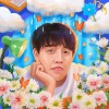 default album img