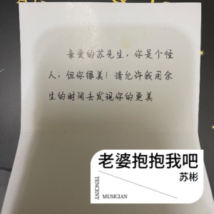 Album 老婆抱抱我吧 from 苏彬