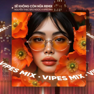 Vipes的專輯Sẽ Không Còn Nữa (Remix House)