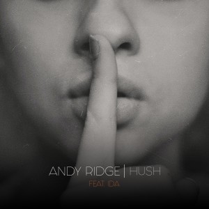 ดาวน์โหลดและฟังเพลง Hush (Explicit) พร้อมเนื้อเพลงจาก Andy Ridge