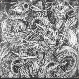 收听MOKXJIN的SXBXTXGE (Explicit)歌词歌曲