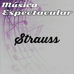 收聽Werner Muller的Tu y Tu歌詞歌曲