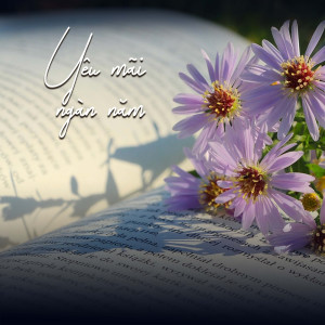 收聽Hồ Quang Lộc的Căn Nhà Dĩ Vãng歌詞歌曲