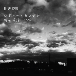 Listen to 你本是一只自由的鸟，何必等待一把枪 (完整版) song with lyrics from 时光胶囊