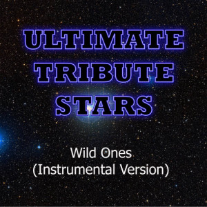 ดาวน์โหลดและฟังเพลง Flo Rida feat. Sia - Wild Ones (Instrumental Version) พร้อมเนื้อเพลงจาก Ultimate Tribute Stars