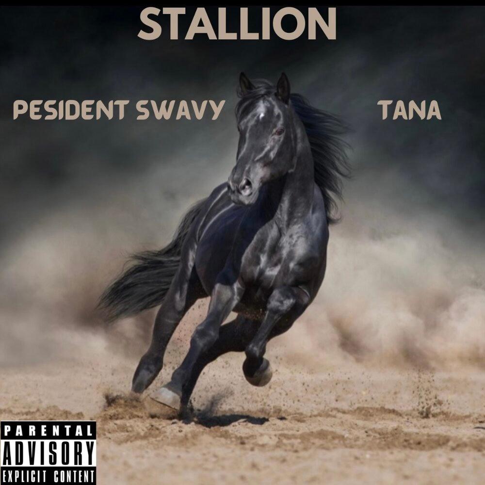 Stallion (Explicit)