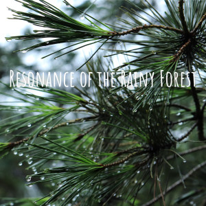 Resonance of the Rainy Forest