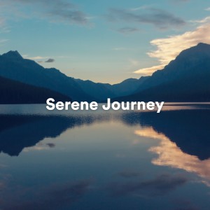 Album Serene Journey oleh Soothing Chill Out for Insomnia