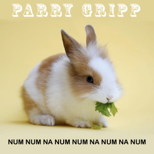 收聽Parry Gripp的Num Num Na Num Nam Na Num Na Num歌詞歌曲