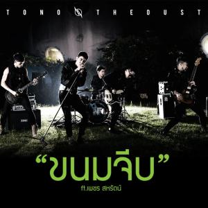 收听TONO & The DUST的ขนมจีบ歌词歌曲