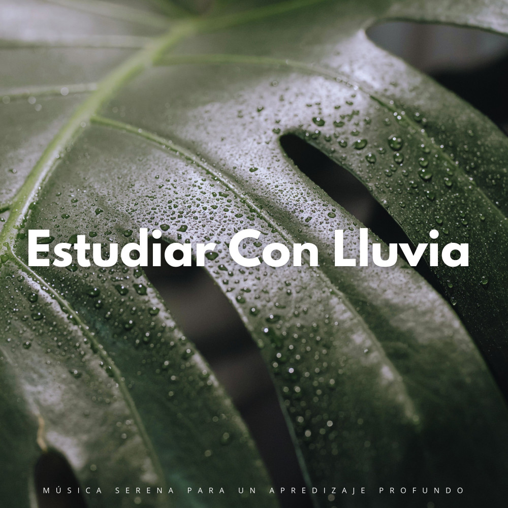 Sesión De Estudio Serena