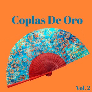 Coplas De Oro, Vol. 2 dari Varios Artistas