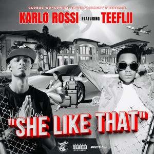อัลบัม She Like That (feat. TeeFLii) [Explicit] ศิลปิน Karlo Rossi