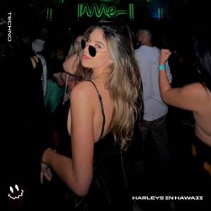 Listen to HARLEYS IN HAWAII (TECHNO) song with lyrics from BassTon