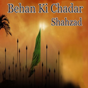 Listen to Balti song with lyrics from Shahzad