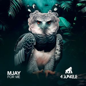 Album For Me from Mjay
