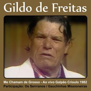 Listen to Me Chamam de Grosso (Ao Vivo) song with lyrics from Gildo De Freitas
