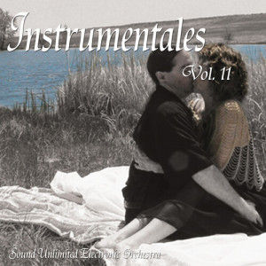 Album Instrumentales, Vol. 11 from Sound Unlimited electronic Orchestra