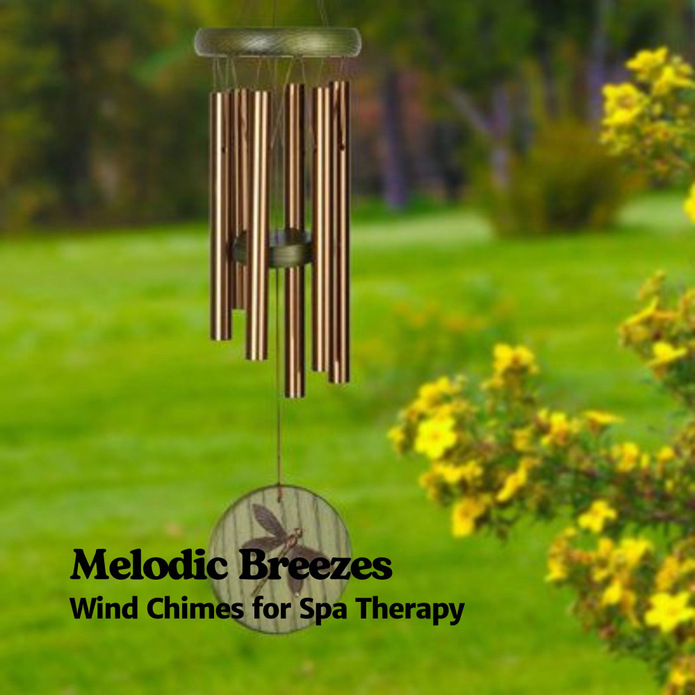 Windy Chimes in the Park