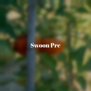Album Swoon Prc oleh Various