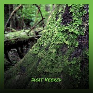 Album Digit Veered from Various