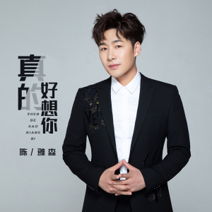 Listen to 真的好想你 song with lyrics from 陈雅森