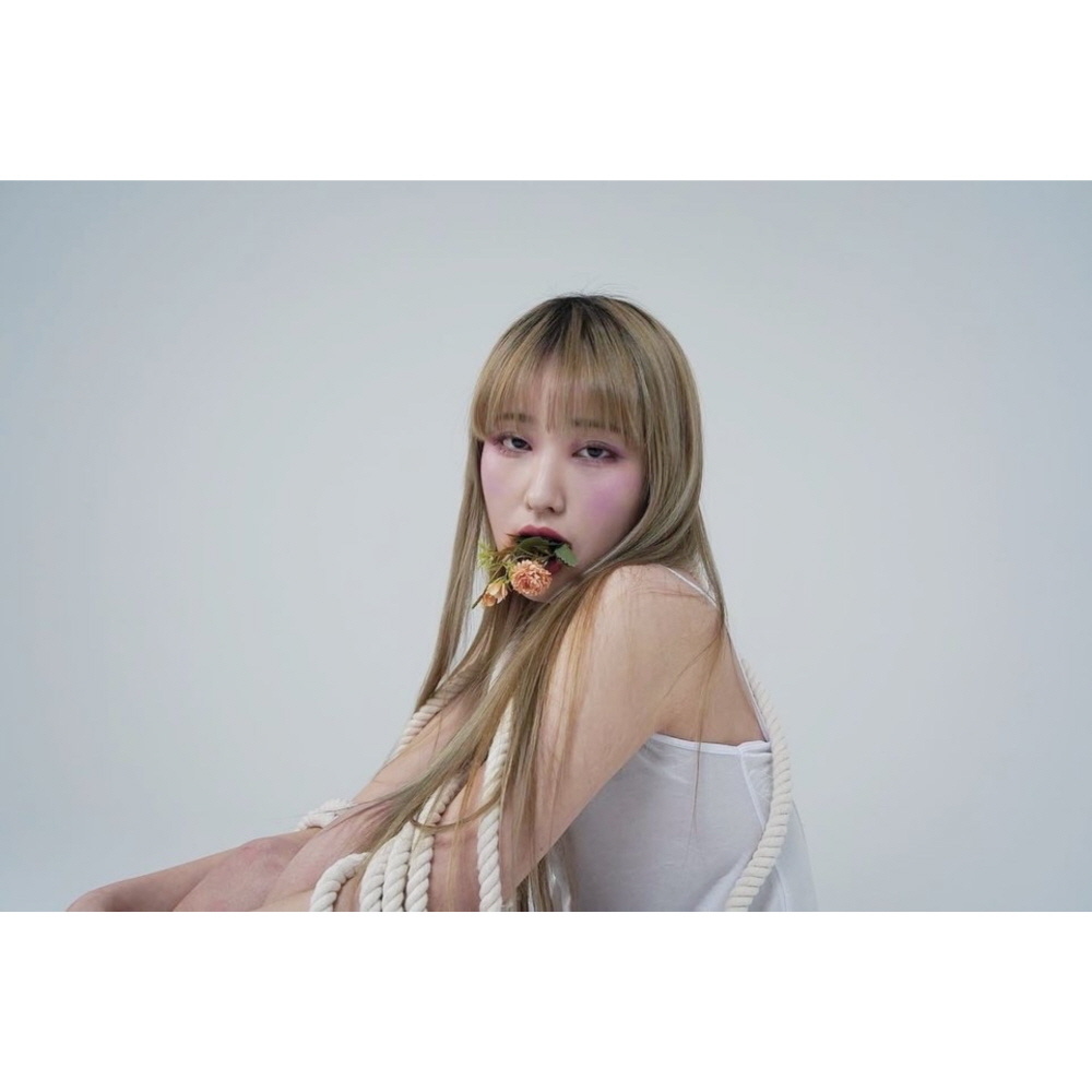 퀸샤 (Quinsha)