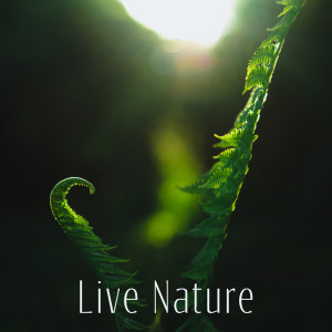 The Calming Sounds of Nature的專輯Live Nature (Relaxation and Meditation with Pure Nature, Outdoor Rest)