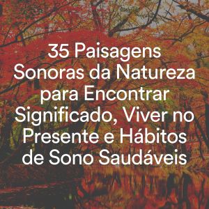 Relaxamento Sons da Natureza Ruído Branco Musicas Clube的专辑35 Paisagens Sonoras da Natureza para Encontrar Significado, Viver no Presente e Hábitos de Sono Saudáveis