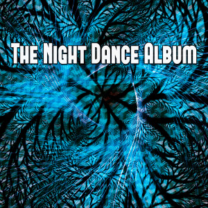 Listen to Party All Night song with lyrics from Ibiza DJ Rockerz