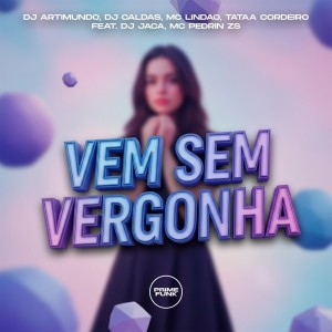 Album Vem Sem Vergonha (Explicit) from Dj Artimundo