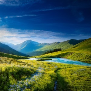 default playlist img