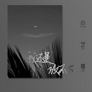 Album 我还是放不下 from 小艺哥