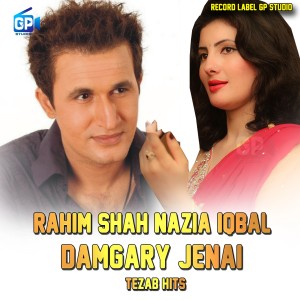 收听Rahim Shah的Damgary Jenai歌词歌曲