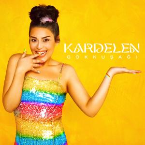 Listen to Gökkuşağı song with lyrics from Kardelen