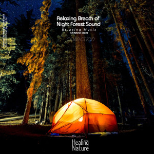 收听힐링 네이쳐 Nature Sound Band的Tiny Happiness歌词歌曲