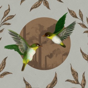 Listen to Jejak Luka Kicau Burung (Accoustic Version) song with lyrics from Mokshanova