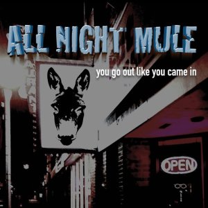 ดาวน์โหลดและฟังเพลง You Go out Like You Came In พร้อมเนื้อเพลงจาก All Night Mule