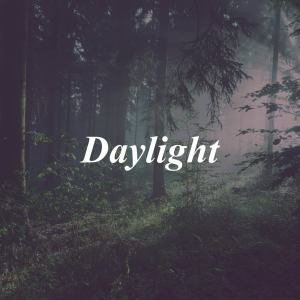 Dj Luli Torres的專輯Daylight (Remix)