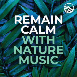 อัลบัม Remain Calm With Nature Music ศิลปิน Various