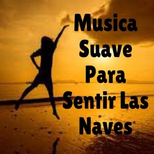 อัลบัม Música Suave para Sentir las Aves ศิลปิน Musica Para Relajarse